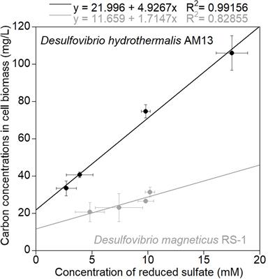 Quantification of Organic Carbon Sequestered by Biogenic Iron Sulfide Minerals in Long-Term Anoxic Laboratory Incubations